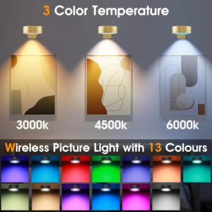 LED Art Display Light Golden Battery Powered